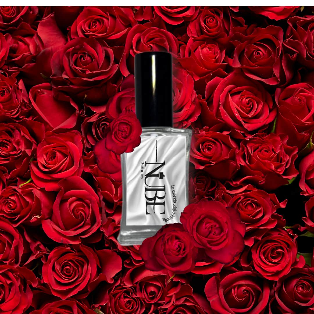 Fragancias sin género de Nube Perfumes — porque un perfume no tiene sexo, tiene personalidad